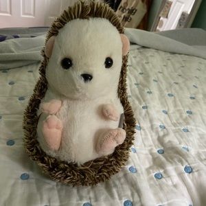 A hedgehog